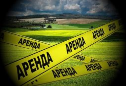 Земля в аренду
